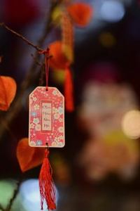 đăng nhập page Sodo